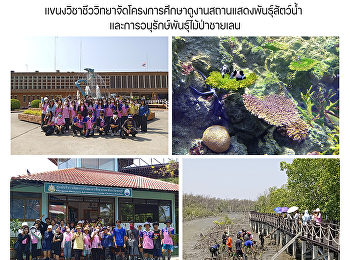 แขนงวิชาชีววิทยาจัดโครงการศึกษาดูงานสถานแสดงพันธุ์สัตว์น้ำ
และการอนุรักษ์พันธุ์ไม้ป่าชายเลน